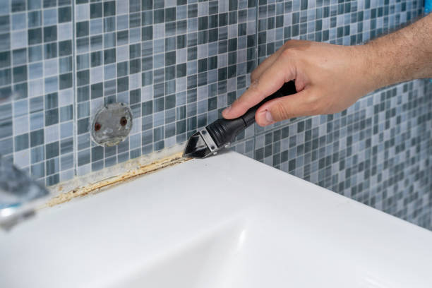 Best Local Mold Removal Service  in St James, MO